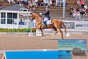 Filename=PT9_4852.JPG
Filesize=503KiB
Dimensions=1224x817
Date added=Jul 12, 2023 PT9_4852.JPG
