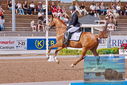 Filename=PT9_4857.JPG
Filesize=543KiB
Dimensions=1224x817
Date added=Jul 12, 2023 PT9_4857.JPG