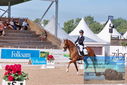 Filename=PT9_4860.JPG
Filesize=432KiB
Dimensions=1224x817
Date added=Jul 12, 2023 PT9_4860.JPG