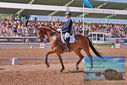 Filename=PT9_5067.JPG
Filesize=534KiB
Dimensions=1224x817
Date added=Jul 12, 2023 PT9_5067.JPG