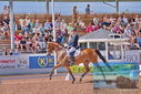 Filename=PT9_5075.JPG
Filesize=542KiB
Dimensions=1224x817
Date added=Jul 12, 2023 PT9_5075.JPG