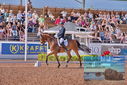 Filename=PT9_5081.JPG
Filesize=571KiB
Dimensions=1224x817
Date added=Jul 12, 2023 PT9_5081.JPG