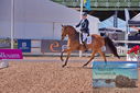 Filename=PT9_5086.JPG
Filesize=465KiB
Dimensions=1224x817
Date added=Jul 12, 2023 PT9_5086.JPG