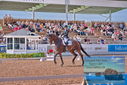 Filename=PT9_5097.JPG
Filesize=508KiB
Dimensions=1224x817
Date added=Jul 12, 2023 PT9_5097.JPG