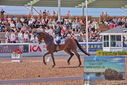 Filename=PT9_5099.JPG
Filesize=546KiB
Dimensions=1224x817
Date added=Jul 12, 2023 PT9_5099.JPG