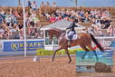 Filename=PT9_5104.JPG
Filesize=575KiB
Dimensions=1224x817
Date added=Jul 12, 2023 PT9_5104.JPG