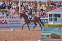 Filename=PT9_5111.JPG
Filesize=561KiB
Dimensions=1224x817
Date added=Jul 12, 2023 PT9_5111.JPG