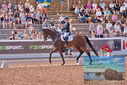 Filename=PT9_5113.JPG
Filesize=570KiB
Dimensions=1224x817
Date added=Jul 12, 2023 PT9_5113.JPG