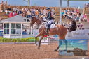 Filename=PT9_5115.JPG
Filesize=530KiB
Dimensions=1224x817
Date added=Jul 12, 2023 PT9_5115.JPG