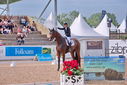 Filename=PT9_5120.JPG
Filesize=437KiB
Dimensions=1224x817
Date added=Jul 12, 2023 PT9_5120.JPG