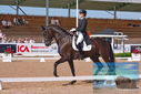 Filename=PT9_5239.JPG
Filesize=408KiB
Dimensions=1224x817
Date added=Jul 18, 2023 PT9_5239.JPG