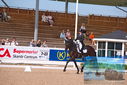 Filename=PT9_5245.JPG
Filesize=430KiB
Dimensions=1224x817
Date added=Jul 18, 2023 PT9_5245.JPG