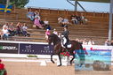 Filename=PT9_5247.JPG
Filesize=449KiB
Dimensions=1224x817
Date added=Jul 18, 2023 PT9_5247.JPG