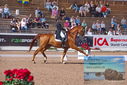 Filename=PT9_5257.JPG
Filesize=501KiB
Dimensions=1224x817
Date added=Jul 18, 2023 PT9_5257.JPG