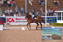 Filename=PT9_5261.JPG
Filesize=483KiB
Dimensions=1224x817
Date added=Jul 18, 2023 PT9_5261.JPG
