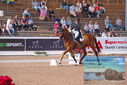 Filename=PT9_5262.JPG
Filesize=481KiB
Dimensions=1224x817
Date added=Jul 18, 2023 PT9_5262.JPG