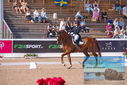 Filename=PT9_5263.JPG
Filesize=475KiB
Dimensions=1224x817
Date added=Jul 18, 2023 PT9_5263.JPG