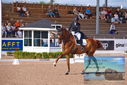 Filename=PT9_5265.JPG
Filesize=471KiB
Dimensions=1224x817
Date added=Jul 18, 2023 PT9_5265.JPG