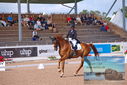 Filename=PT9_5266.JPG
Filesize=420KiB
Dimensions=1224x817
Date added=Jul 18, 2023 PT9_5266.JPG