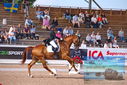 Filename=PT9_5267.JPG
Filesize=484KiB
Dimensions=1224x817
Date added=Jul 18, 2023 PT9_5267.JPG