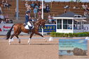 Filename=PT9_5273.JPG
Filesize=457KiB
Dimensions=1224x817
Date added=Jul 18, 2023 PT9_5273.JPG