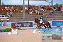 Filename=PT9_5277.JPG
Filesize=394KiB
Dimensions=1224x817
Date added=Jul 18, 2023 PT9_5277.JPG