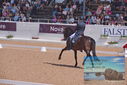 Filename=PT9_5330.JPG
Filesize=474KiB
Dimensions=1224x817
Date added=Jul 18, 2023 PT9_5330.JPG
