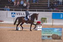 Filename=PT9_5332.JPG
Filesize=436KiB
Dimensions=1224x817
Date added=Jul 18, 2023 PT9_5332.JPG