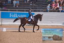 Filename=PT9_5334.JPG
Filesize=457KiB
Dimensions=1224x817
Date added=Jul 18, 2023 PT9_5334.JPG