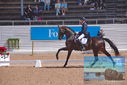 Filename=PT9_5338.JPG
Filesize=436KiB
Dimensions=1224x817
Date added=Jul 18, 2023 PT9_5338.JPG