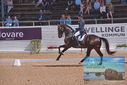 Filename=PT9_5340.JPG
Filesize=448KiB
Dimensions=1224x817
Date added=Jul 18, 2023 PT9_5340.JPG