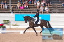 Filename=PT9_6104.JPG
Filesize=490KiB
Dimensions=1224x817
Date added=Jul 19, 2023 PT9_6104.JPG