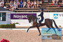 Filename=PT9_6105.JPG
Filesize=525KiB
Dimensions=1224x817
Date added=Jul 19, 2023 PT9_6105.JPG