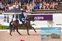 Filename=PT9_6119.JPG
Filesize=543KiB
Dimensions=1224x817
Date added=Jul 19, 2023 PT9_6119.JPG