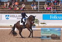 Filename=PT9_6127.JPG
Filesize=507KiB
Dimensions=1224x817
Date added=Jul 19, 2023 PT9_6127.JPG