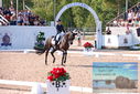 Filename=PT9_6131.JPG
Filesize=551KiB
Dimensions=1224x817
Date added=Jul 19, 2023 PT9_6131.JPG