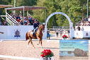 Filename=PT9_6146.JPG
Filesize=578KiB
Dimensions=1224x817
Date added=Jul 19, 2023 PT9_6146.JPG