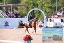 Filename=PT9_6147.JPG
Filesize=594KiB
Dimensions=1224x817
Date added=Jul 19, 2023 PT9_6147.JPG