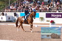 Filename=PT9_6148.JPG
Filesize=569KiB
Dimensions=1224x817
Date added=Jul 19, 2023 PT9_6148.JPG