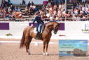 Filename=PT9_6149.JPG
Filesize=523KiB
Dimensions=1224x817
Date added=Jul 19, 2023 PT9_6149.JPG