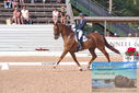 Filename=PT9_6153.JPG
Filesize=483KiB
Dimensions=1224x817
Date added=Jul 19, 2023 PT9_6153.JPG