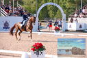 Filename=PT9_6175.JPG
Filesize=562KiB
Dimensions=1224x817
Date added=Jul 19, 2023 PT9_6175.JPG