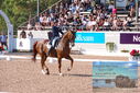 Filename=PT9_6178.JPG
Filesize=596KiB
Dimensions=1224x817
Date added=Jul 19, 2023 PT9_6178.JPG
