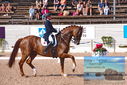 Filename=PT9_6183.JPG
Filesize=516KiB
Dimensions=1224x817
Date added=Jul 19, 2023 PT9_6183.JPG
