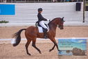 Filename=PT9_6193.JPG
Filesize=419KiB
Dimensions=1224x817
Date added=Jul 19, 2023 PT9_6193.JPG