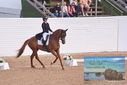 Filename=PT9_6198.JPG
Filesize=377KiB
Dimensions=1224x817
Date added=Jul 19, 2023 PT9_6198.JPG