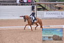 Filename=PT9_6203.JPG
Filesize=486KiB
Dimensions=1224x817
Date added=Jul 19, 2023 PT9_6203.JPG
