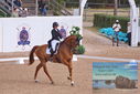 Filename=PT9_6215.JPG
Filesize=442KiB
Dimensions=1224x817
Date added=Jul 19, 2023 PT9_6215.JPG