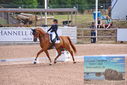 Filename=PT9_6217.JPG
Filesize=501KiB
Dimensions=1224x817
Date added=Jul 19, 2023 PT9_6217.JPG