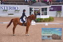 Filename=PT9_6234.JPG
Filesize=451KiB
Dimensions=1224x817
Date added=Jul 19, 2023 PT9_6234.JPG